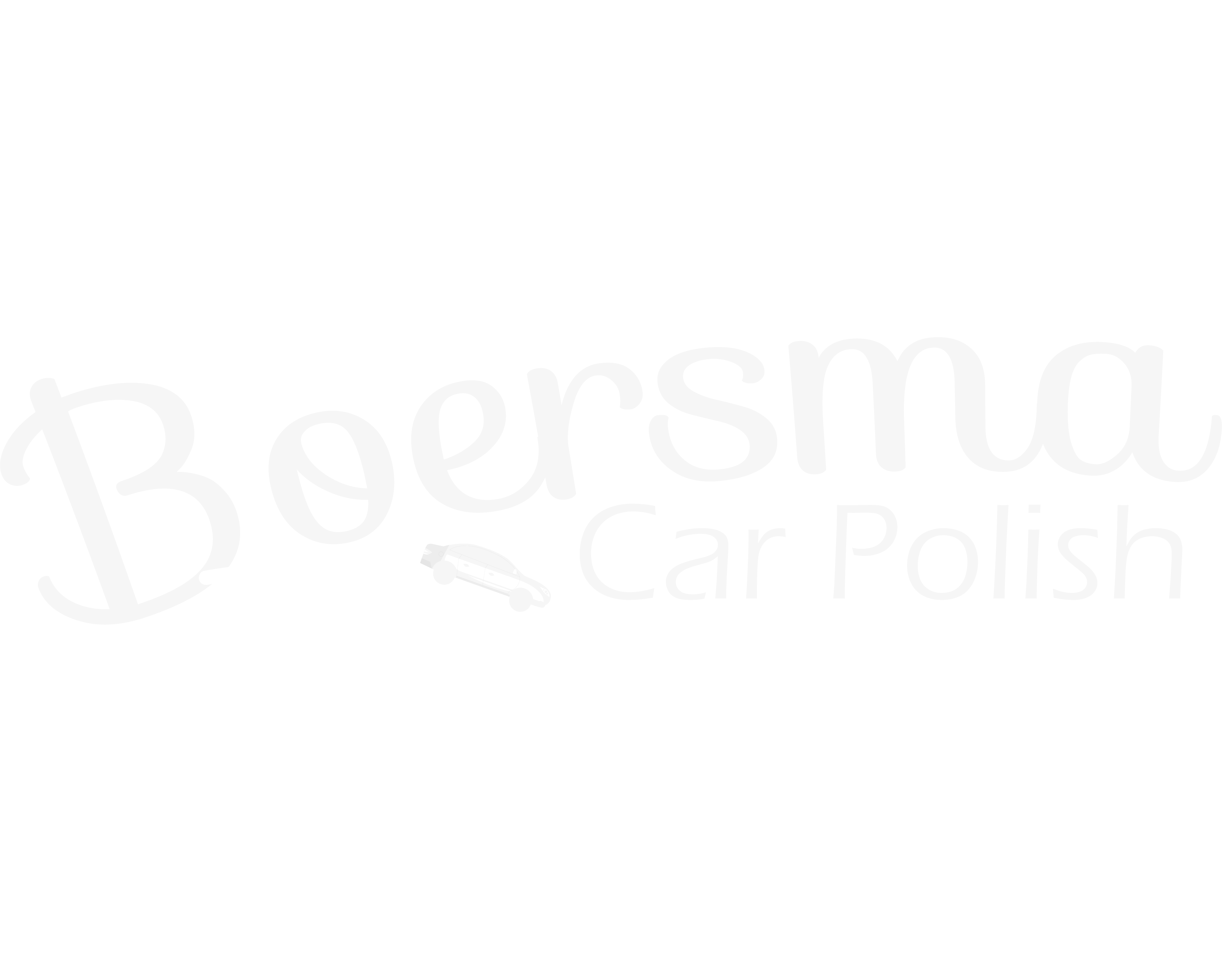 Boersma Car Polish Logo